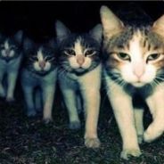 这游戏我玩尼玛