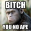 Ape shall never kill ape