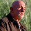 Mike Ehrmantraut