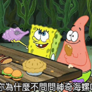 为什么不问问神奇海螺