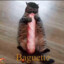 Baguette