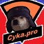 cyka