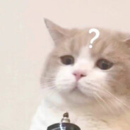 哥哥姐姐们别打我