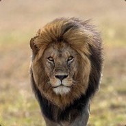 KovinKoskaan - steam id 76561198259639740