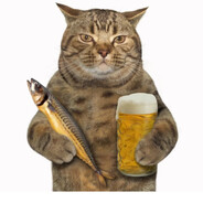 Пивной котик