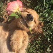 makez. - steam id 76561199128062144