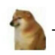 灬帅丶小丿哥丨