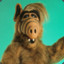 Alf der Analbär