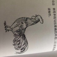 小百合Lily的小剧本