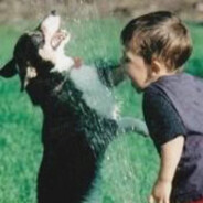 你在质疑小蔡吗