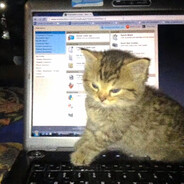 人生幻幻怎敢缓缓