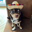 Be Careful Mijo!