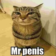 Mr Penis