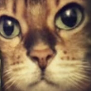 Leonard (nick) avatar