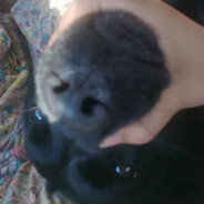 酷酷的高美丽女士