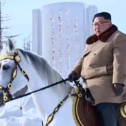 不知名骑白马男子