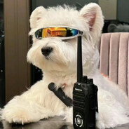 伤心小狗不流泪