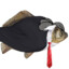 Mr Fish