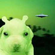PERRITO MARCIANO 100% REAL