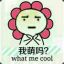天胡转弟弟