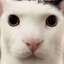 КотоПовар
