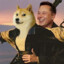 THE DOGE