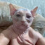 blobsky