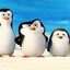 Pinguins de Madagascar