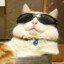MALANDRO E O GATO