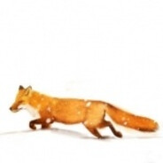 catt