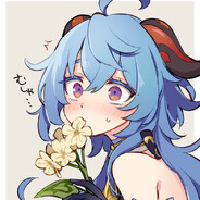 Sora