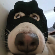 我突破，你操心