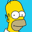 Homer