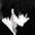 Shinok