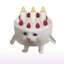 cake cat