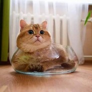 胖橘的小惊喜呦