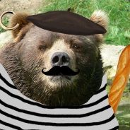 Le French Bear