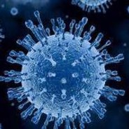新冠病毒