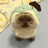 m1nefeed - steam id 76561198925630956