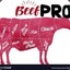 BEEFPRO