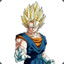 Vegetto