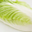 Chinese Cabbage