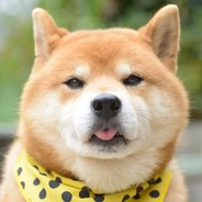 DOGE
