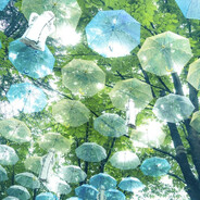 Avatar snapshot