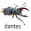 Dantes