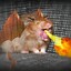 dracarys