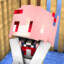 DSX_W