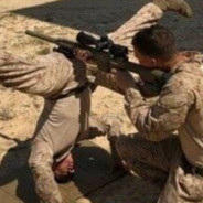 四等多用途牲畜马润