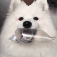 zmaslo avatar