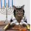 Jewish kat